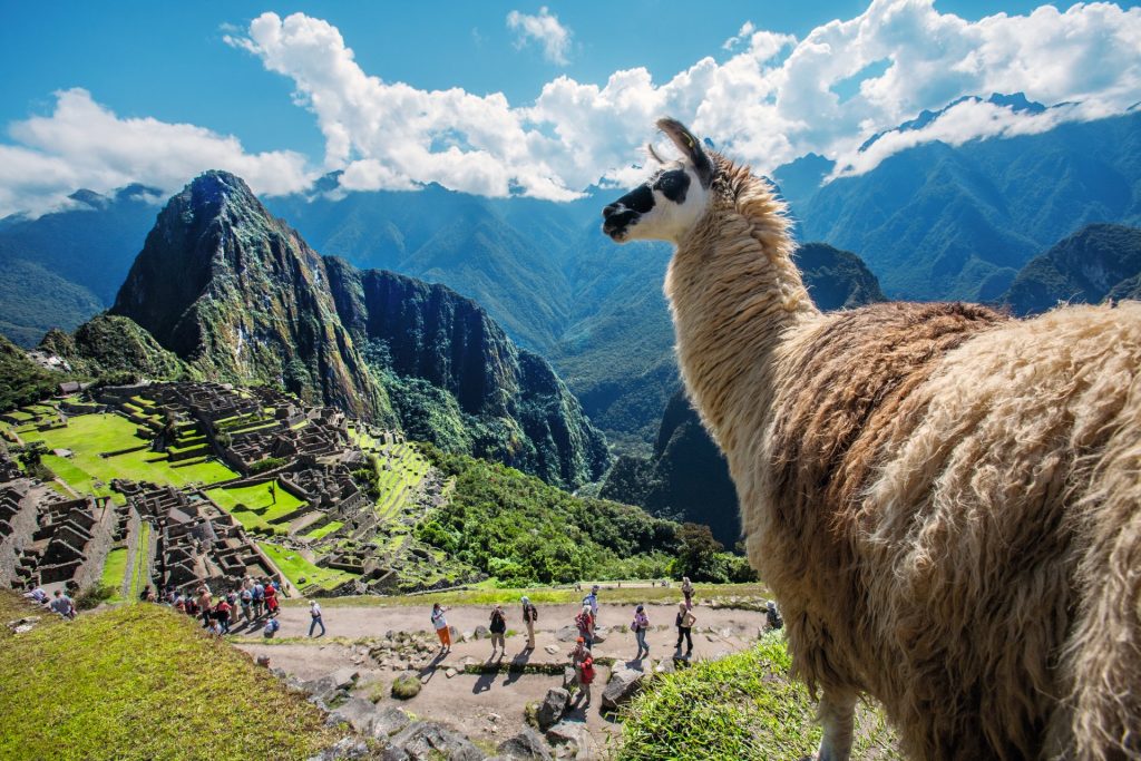 Ciudadela de Machu Picchu - Cuzco